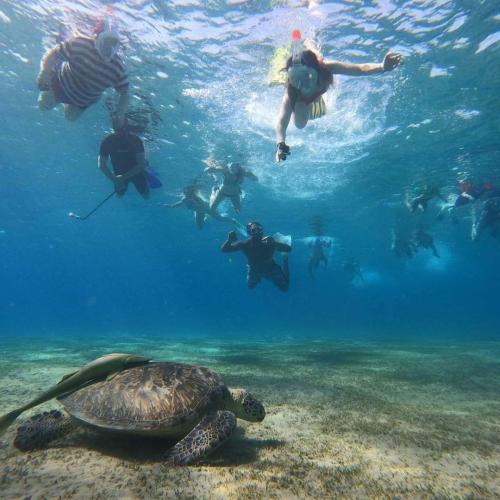 Abu Dabbab marsa alam hurghada