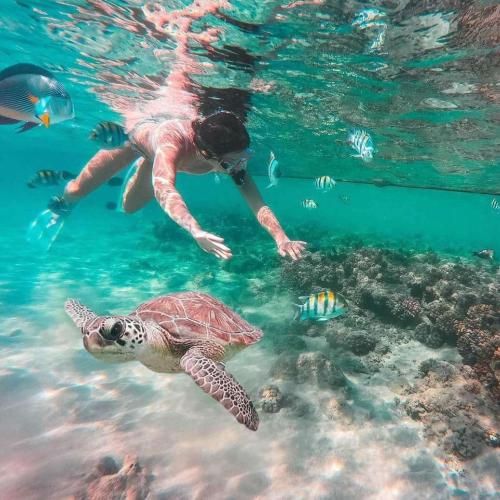 Abu Dabbab marsa alam hurghada