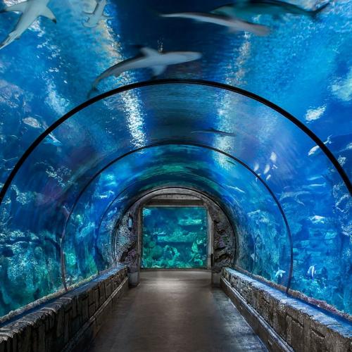 Grand Aquarium hurghada