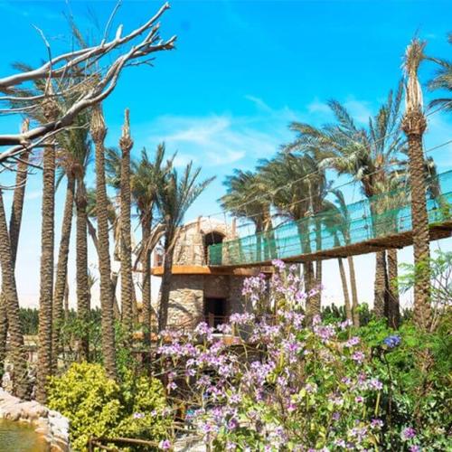 Grand Aquarium hurghada