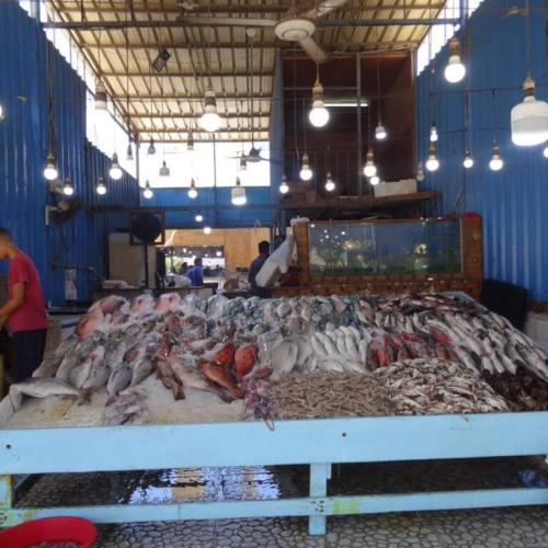 Visite de la ville de Hurghada