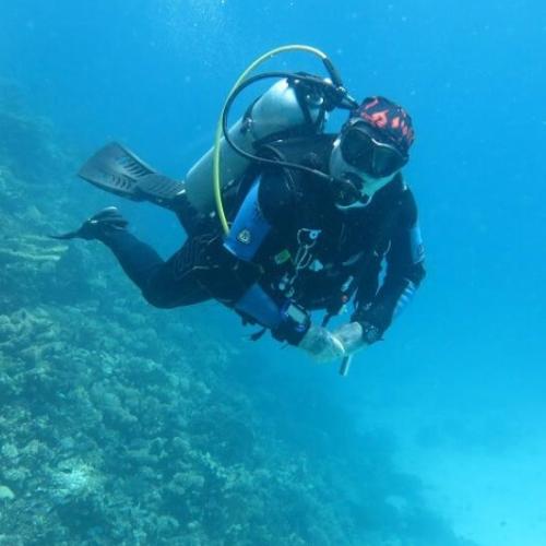 Daily Diving in hurghada