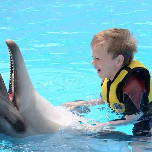 Nagez avec les dauphins à Hurghada