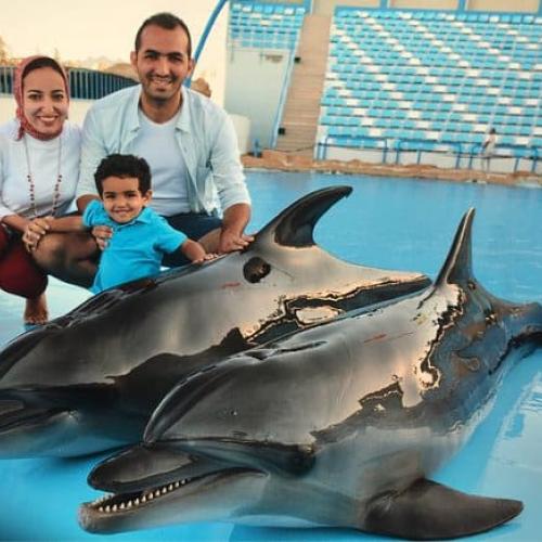 Shooting avec les dauphins à Hurghada