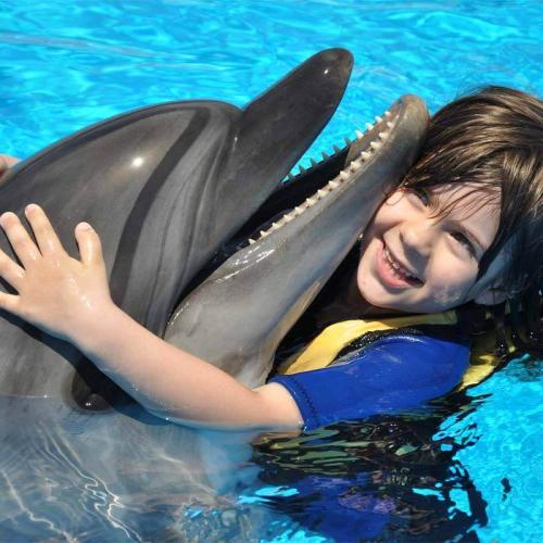 Nagez avec les dauphins à Hurghada