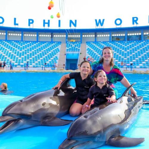 Shooting avec les dauphins à Hurghada