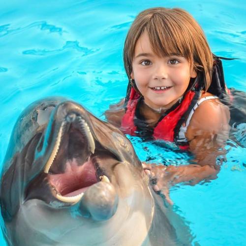 Nagez avec les dauphins à Hurghada