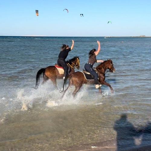 Sahara & Horse Riding hurghada
