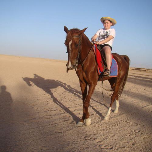 Horse Riding hurghada