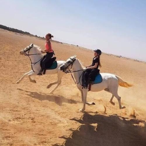 Sahara & Horse Riding hurghada