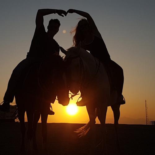 Horse Riding hurghada