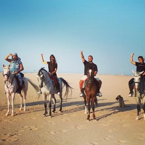 Horse Riding hurghada