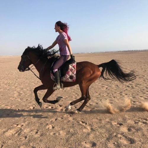 Sahara & Horse Riding hurghada