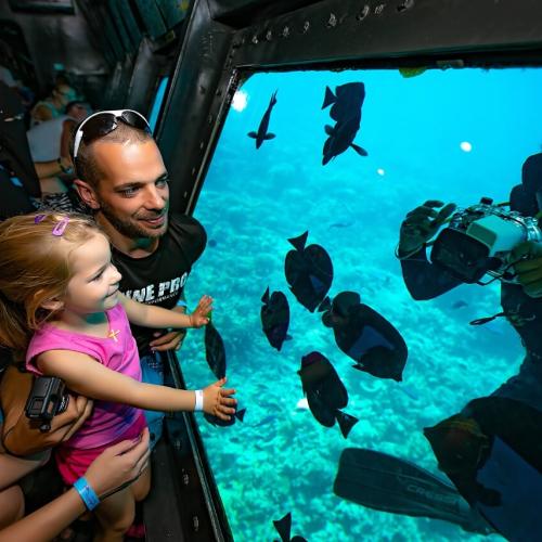 Catamaran - Semi-Submarine